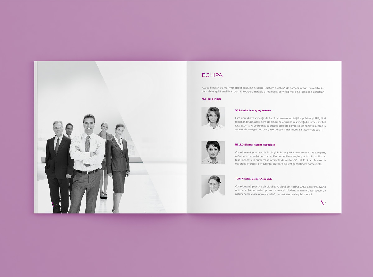 vass-lawyers-brochure